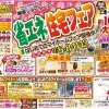 省エネ住宅フェア開催！